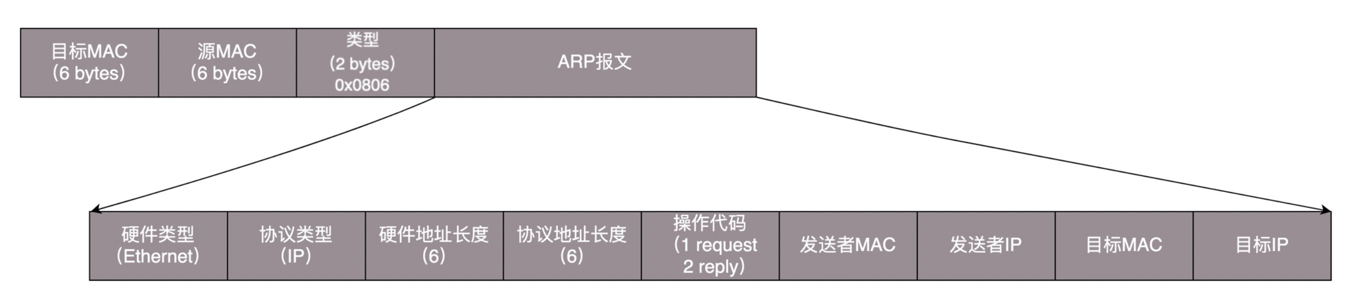https://img.zhaoweiguo.com/knowledge/images/protocols/arp1.png