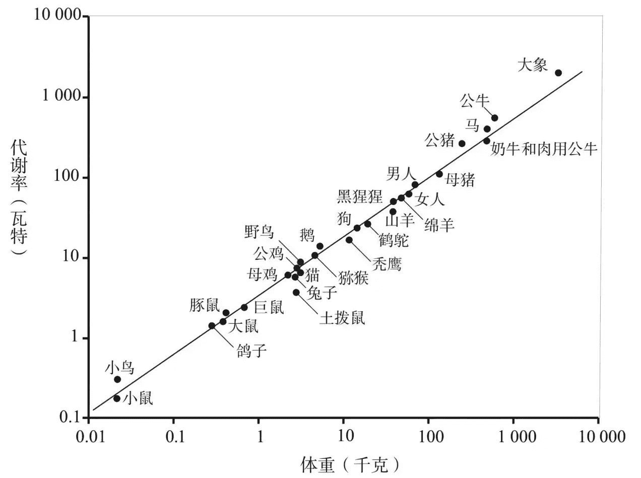 https://img.zhaoweiguo.com/uPic/2024/09/otY8mP.png